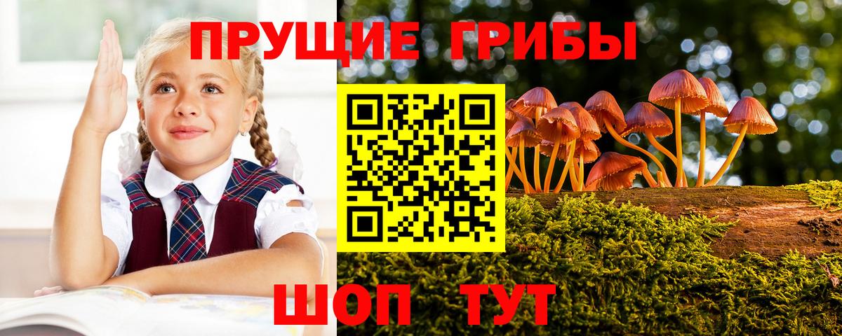 Лесосибирск  Псилоцибиновые грибы мицелий  Галлюциногенные грибы GOLDEN TEACHER  Вход с VPN 